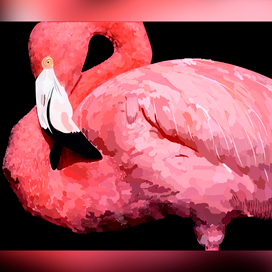 Фламинго, розовый фламинго)