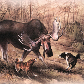 Остановили...