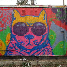 acid cats