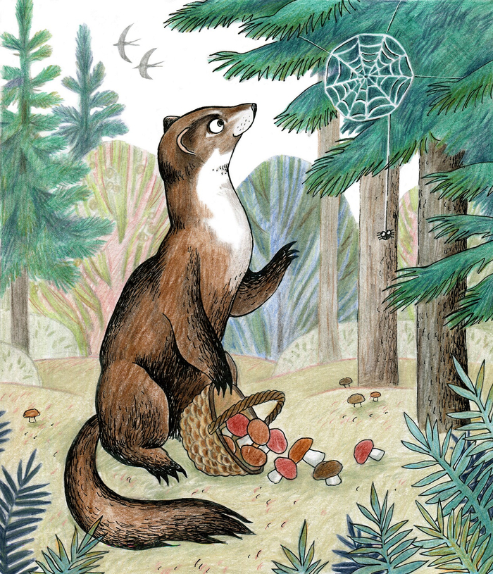 Соболь-мечтатель с корзинкой грибов