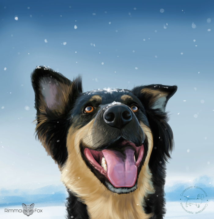 Зима пришла