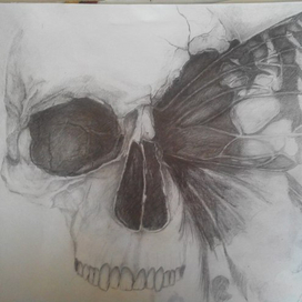 Череп с бабочкой карандаш