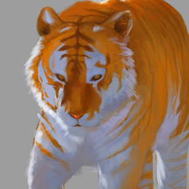 Tiger Icon