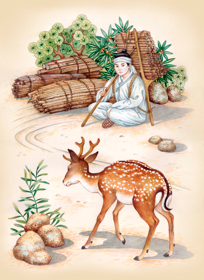 Корейские сказки. Собственность издательства "БХВ-Петербург"