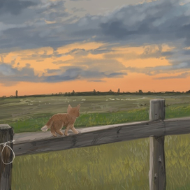 Кот из Тик тока