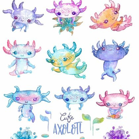 Акварельные аксолотли