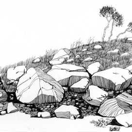 Камни Соловецкие (фрагмент).