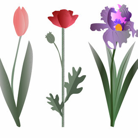 Весенние цветы 