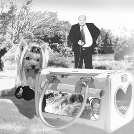 Киоск желаний