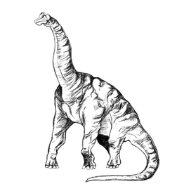 Динозавр с длинной шеей