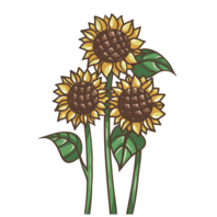 Времена года