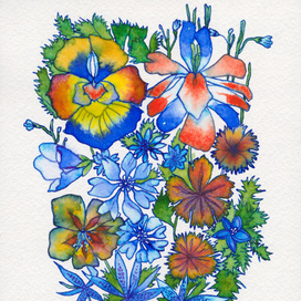 Полевые Цветы