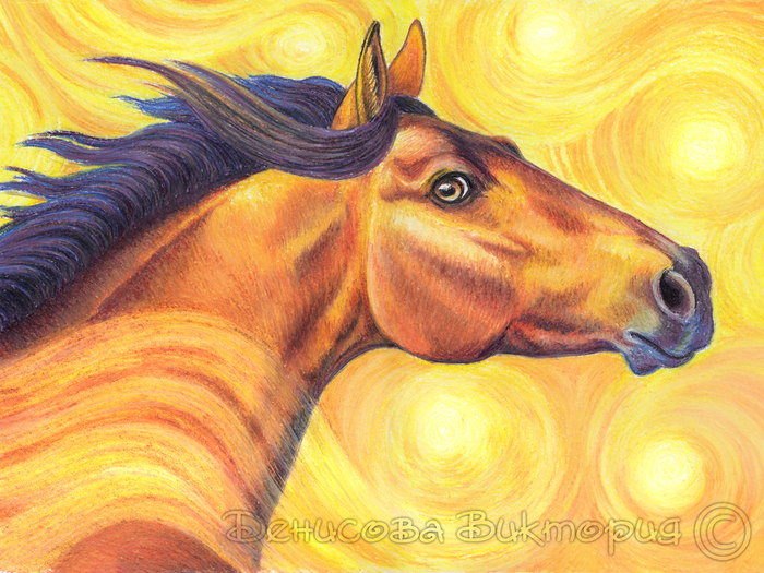 Лошадь и солнечные зайчики