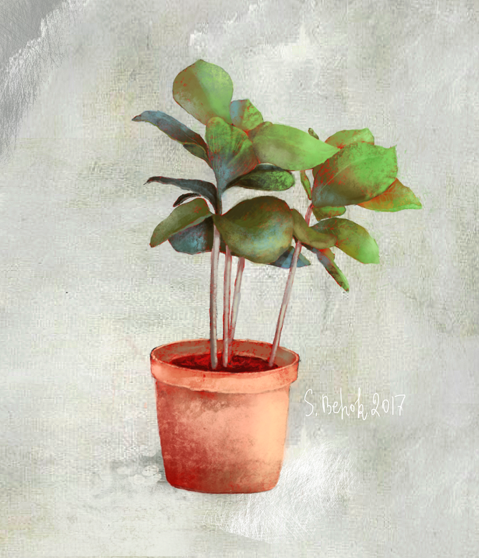 Цветок в горшке