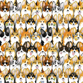 Паттерн Корги