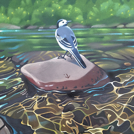 Трясогузка