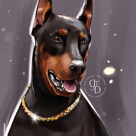 Цифровой портрет питомца