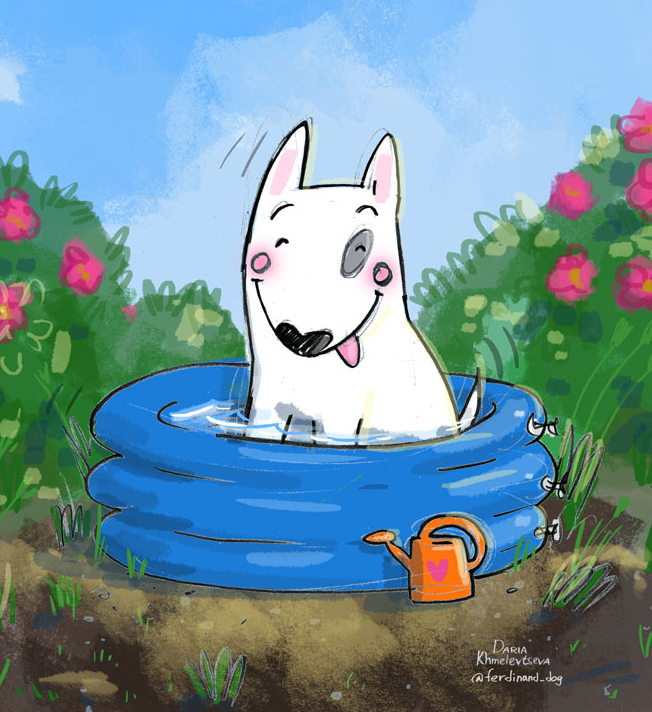 жара бассейн пес