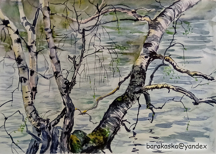 Весна на озере Калтарак 2