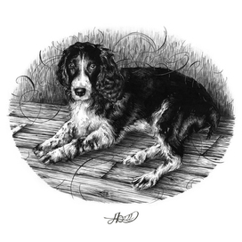 "Я тебя жду"