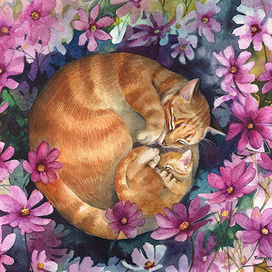 Там, где спит солнышко