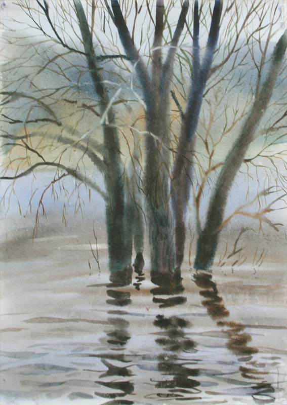 Половодье на Оке