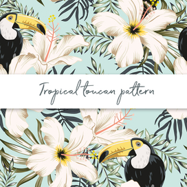 Туканы и гибискусы