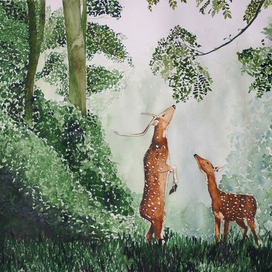 Там, где нет людей