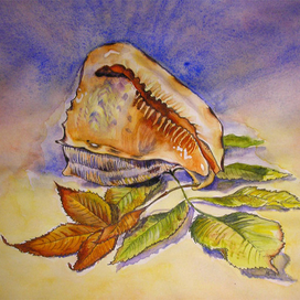 Осенний натюрморт с ракушкой