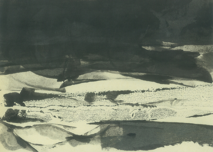 ночь над полями