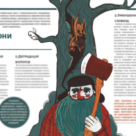 Иллюстрация для информационной брашюры Центра Реабилитации Рукокрылых