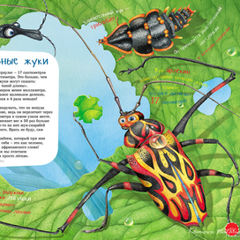 Иллюстрация к книге " Я-Жук"
