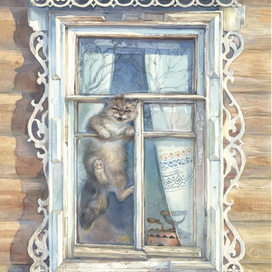 Кошка в окошке)