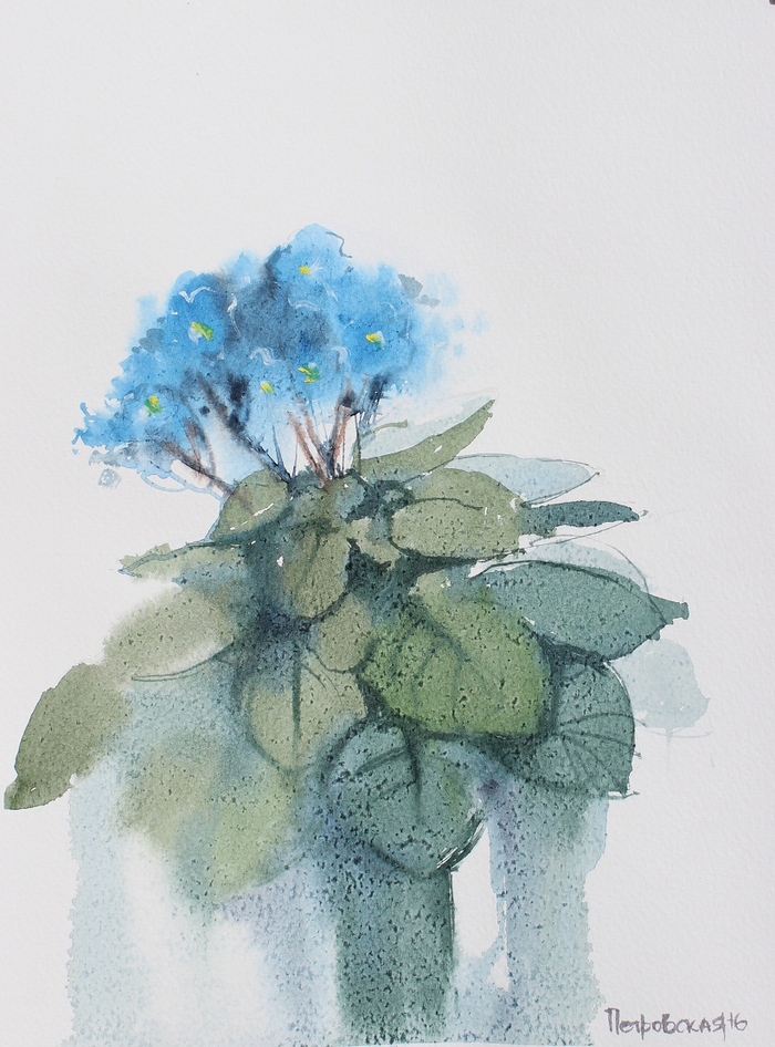 Голубые фиалки