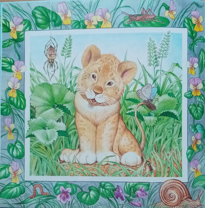 Книга М. Пляцковского