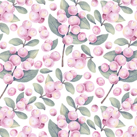 Веточки розового снежноягодника