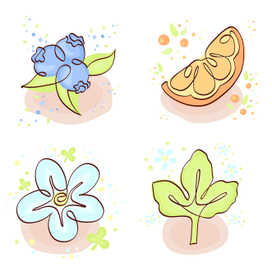 Коллекция для кухни.