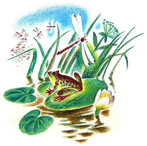 Стихи для детей