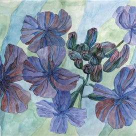 Летние цветы. Левкои.