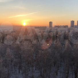 Казани Ноксинский Лес Зимой Декабрь 2022