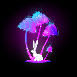 magic mushrooms