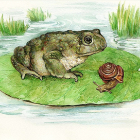 Жаба и улитка
