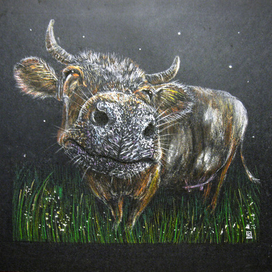 "Мурка" 2009 г.