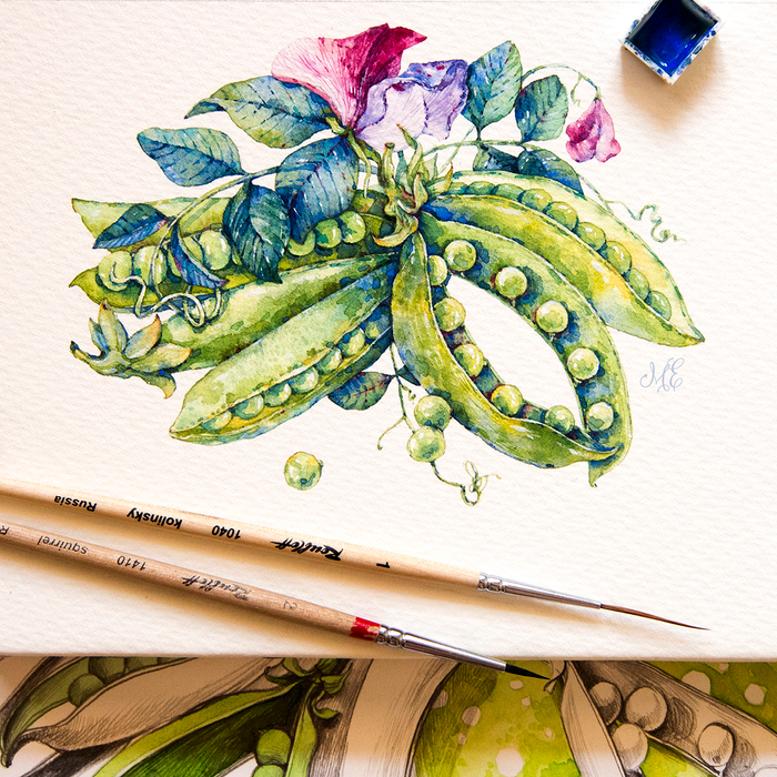 Зеленый горошик