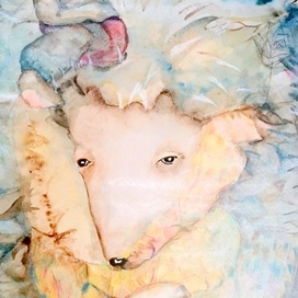 А вот и ёжик