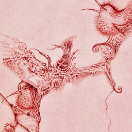 Райские птички (1)