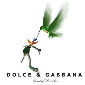 Dolce Bird