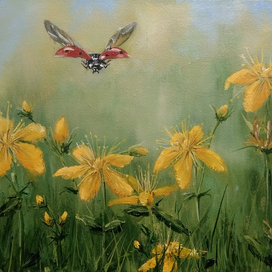 Божья коровка.