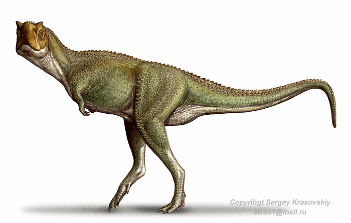 Xenotarsosaurus  bonapartei