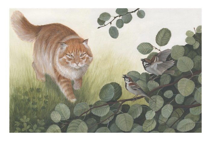 Красная горка